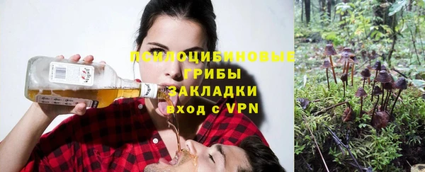 эйфоретик Нея