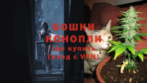 эйфоретик Нея