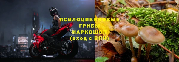 марки nbome Новозыбков