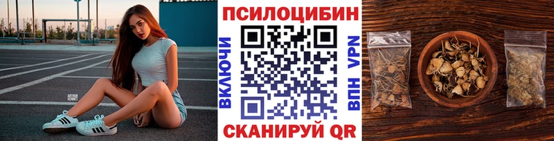 Галлюциногенные грибы прущие грибы  магазин  наркотиков  Кашира 